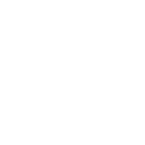 feature-item-1